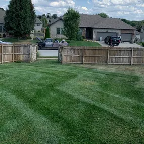 Bild von Living Green Lawn Care