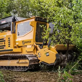 Bild von Advanced Donald Land Clearing Services