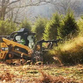 Bild von Advanced Donald Land Clearing Services