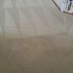 Bild von Marty's Carpet Cleaning