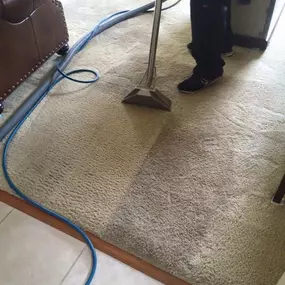 Bild von Marty's Carpet Cleaning