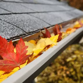 Bild von All Seasons Gutter Cleaning Services