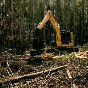 Bild von L7 Land Services