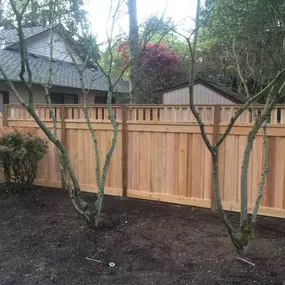 Bild von Legacy Decks and Fence