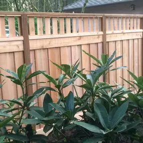 Bild von Legacy Decks and Fence