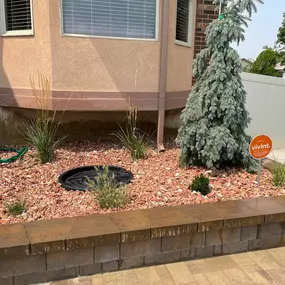 Bild von Aspen Leaf Landscaping LLC