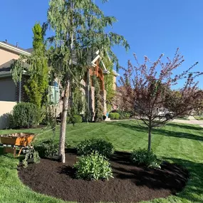 Bild von Aspen Leaf Landscaping LLC