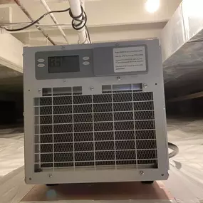 Bild von Ortex Systems