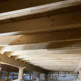 Bild von Ortex Systems