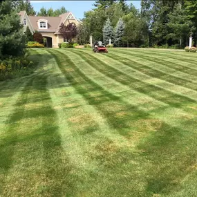 Bild von Perfect Image Landscaping