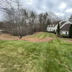 Bild von Perfect Image Landscaping