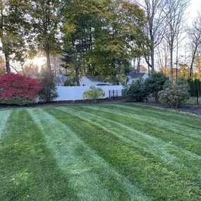 Bild von Perfect Image Landscaping