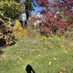 Bild von Perfect Image Landscaping