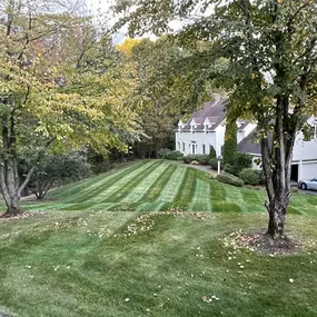 Bild von Perfect Image Landscaping
