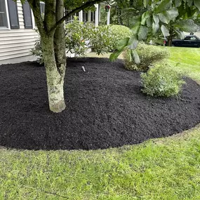 Bild von Perfect Image Landscaping