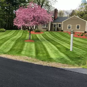Bild von Perfect Image Landscaping