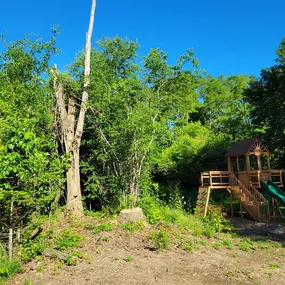 Bild von Northeast Land Solutions