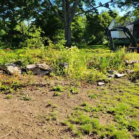 Bild von Northeast Land Solutions
