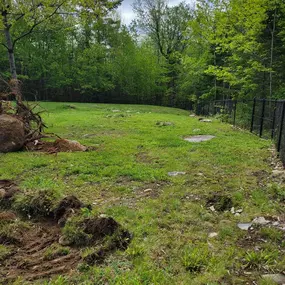 Bild von Northeast Land Solutions