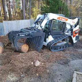 Bild von Carolina Tree Experts