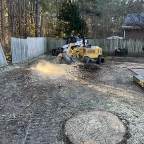 Bild von Carolina Tree Experts