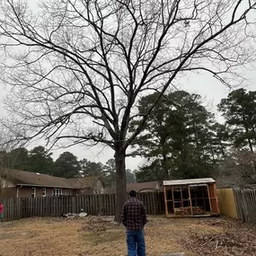 Bild von Carolina Tree Experts