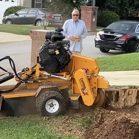 Bild von Arch Stump Grinding