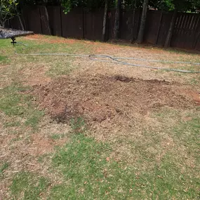 Bild von Arch Stump Grinding