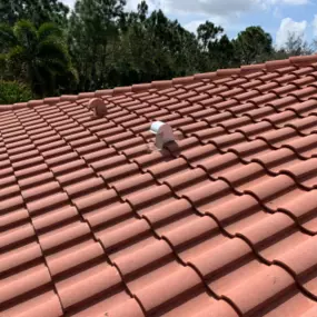 Bild von Over the Top Roof Repair
