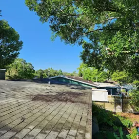 Bild von Oakleaf Tree Services