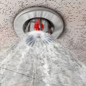 Bild von Phoenix Fire & Systems
