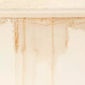 Bild von EnvioCore | Environmental Testing