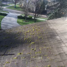 Bild von Handsome Roofing