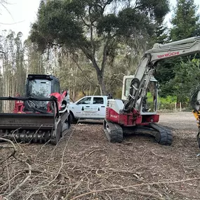 Bild von Proven Quality Tree Service