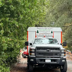 Bild von Proven Quality Tree Service