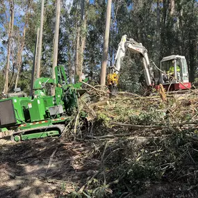 Bild von Proven Quality Tree Service