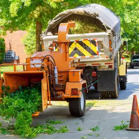 Bild von Proven Quality Tree Service