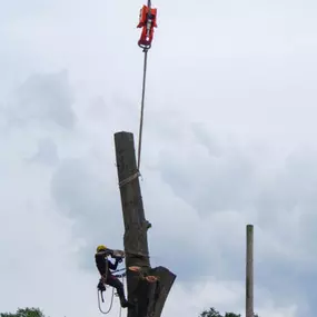 Bild von Proven Quality Tree Service