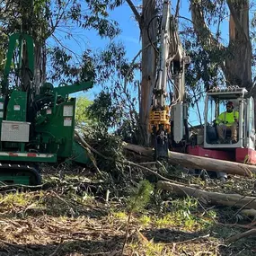 Bild von Proven Quality Tree Service