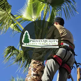 Bild von Proven Quality Tree Service