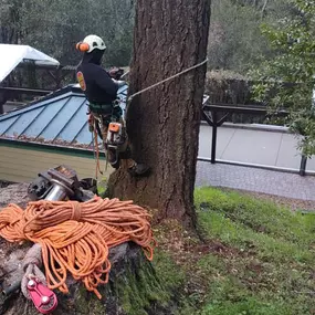 Bild von Proven Quality Tree Service