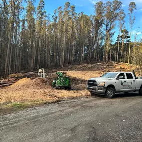Bild von Proven Quality Tree Service
