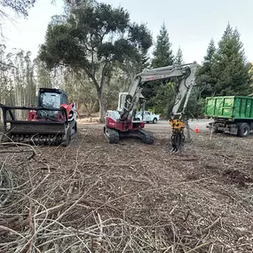 Bild von Proven Quality Tree Service