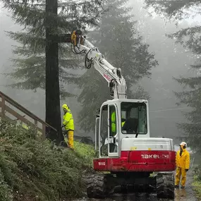 Bild von Proven Quality Tree Service