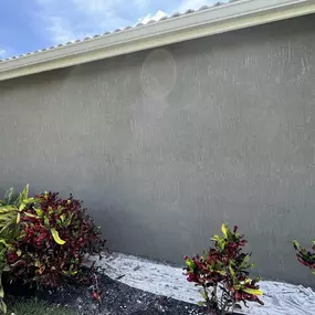 Bild von Cirilo Stucco