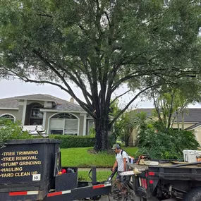 Bild von Rons Quality Tree Service