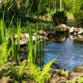 Bild von Quality Landscape Services