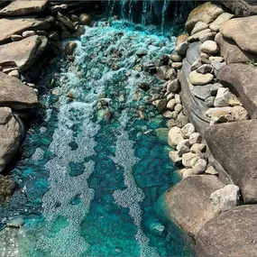 Bild von Quality Landscape Services