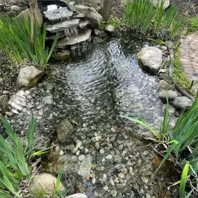 Bild von Quality Landscape Services