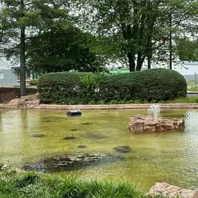 Bild von Quality Landscape Services